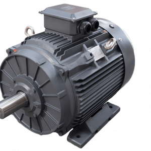 TEC Three Phase Electric Motor