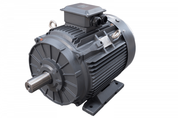 TEC Three Phase Electric Motor