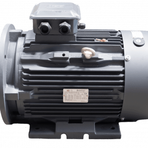 TEC Three Phase Electric Motor