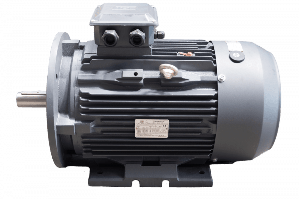 TEC Three Phase Electric Motor