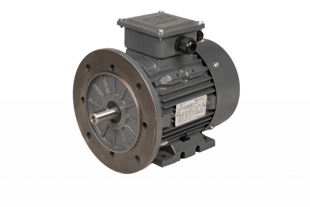 TEC Three Phase Electric Motor