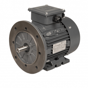 TEC Three Phase Electric Motor