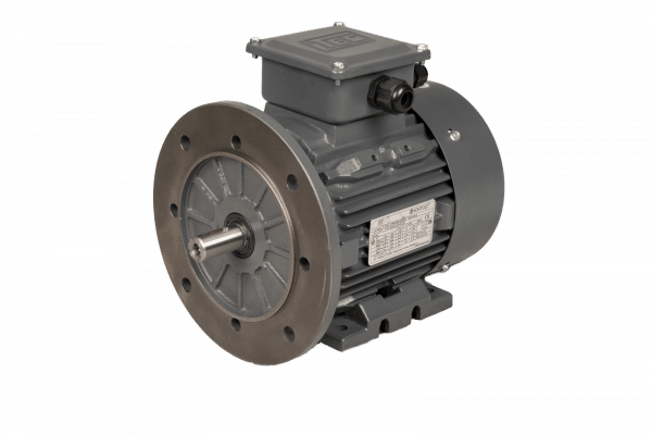 TEC Three Phase Electric Motor