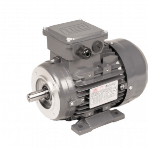 TEC Three Phase Electric Motor