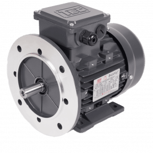 TEC Three Phase Electric Motor