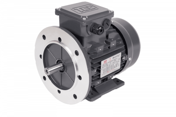 TEC Three Phase Electric Motor