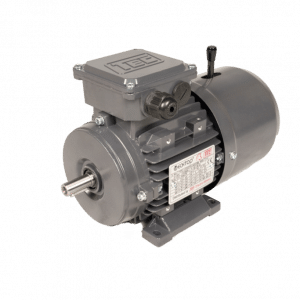 TEC Three Phase Electric Motor