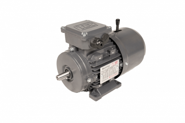 TEC Three Phase Electric Motor