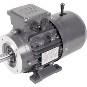 TEC Three Phase Electric Motor