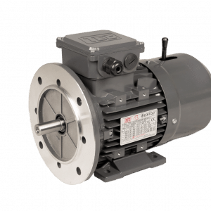 TEC Three Phase Electric Motor