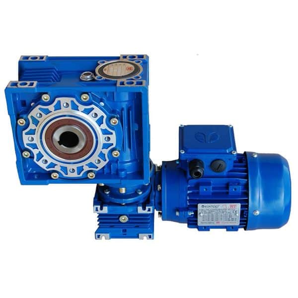 TEC Worm Gear Motor