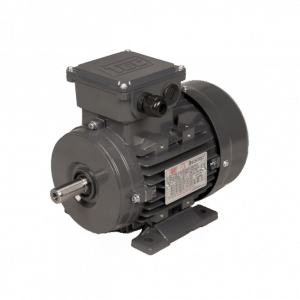 TEC Three Phase Electric Motor