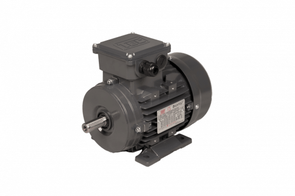 TEC Three Phase Electric Motor