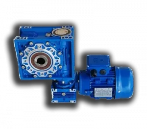 Double Reduction Worm Gear Motor