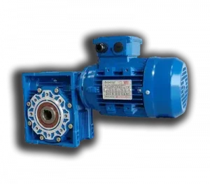 Worm Gear Motor